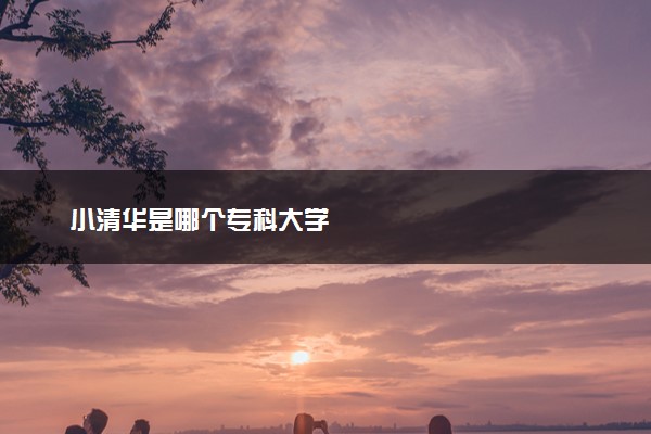 小清华是哪个专科大学