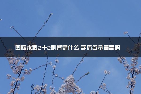 国际本科2十2利弊是什么 学历含金量高吗