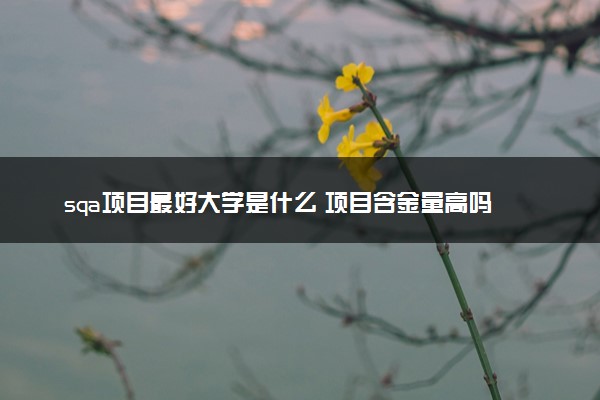 sqa项目最好大学是什么 项目含金量高吗