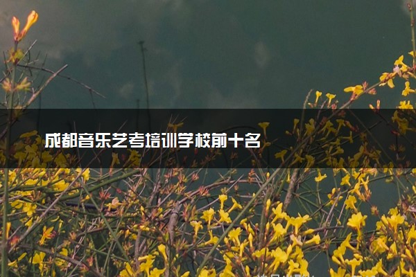 成都音乐艺考培训学校前十名