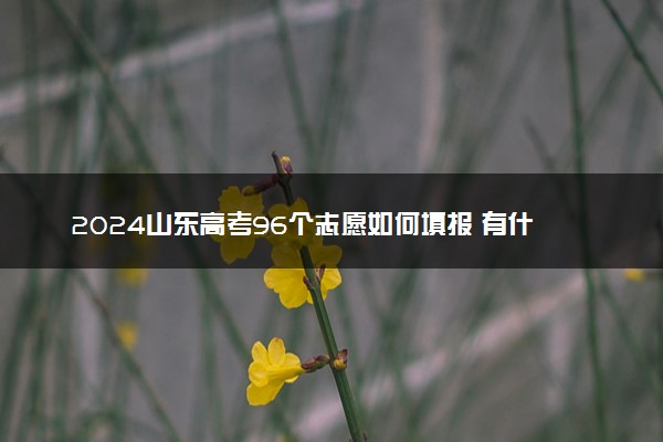 2024山东高考96个志愿如何填报 有什么方法