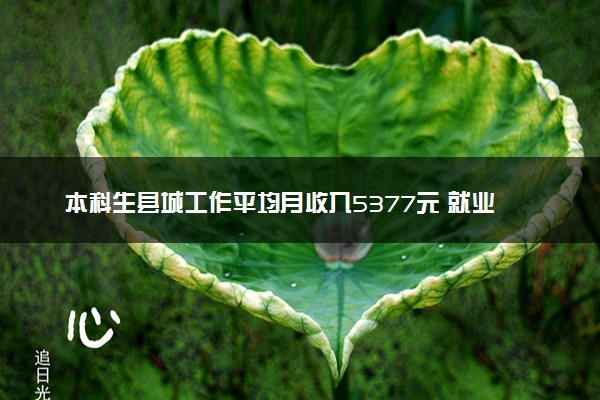 本科生县城工作平均月收入5377元 就业比例上升