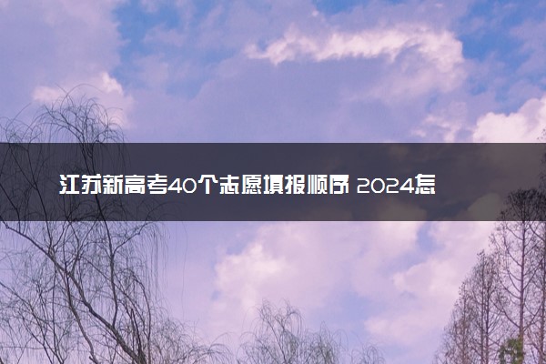 江苏新高考40个志愿填报顺序 2024怎么填报