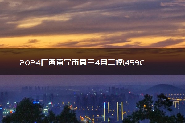 2024广西南宁市高三4月二模(459C)各科试题及答案汇总