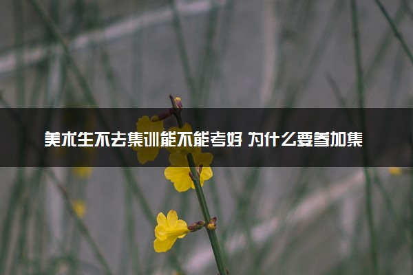 美术生不去集训能不能考好 为什么要参加集训