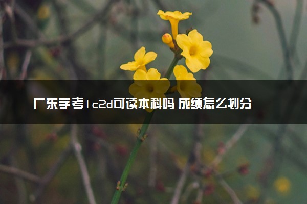 广东学考1c2d可读本科吗 成绩怎么划分