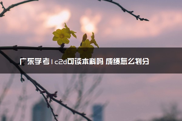 广东学考1c2d可读本科吗 成绩怎么划分