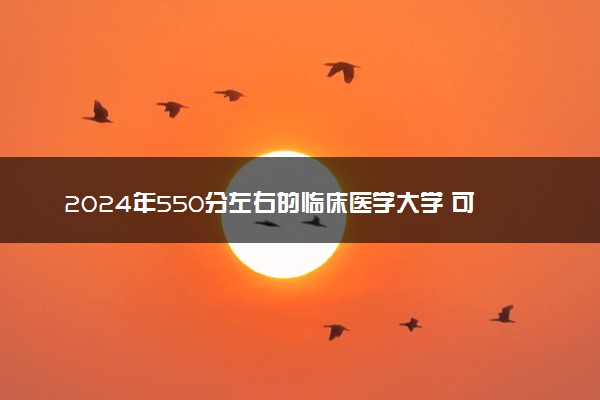 2024年550分左右的临床医学大学 可以报哪些院校