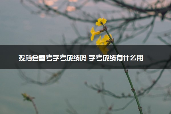 投档会参考学考成绩吗 学考成绩有什么用