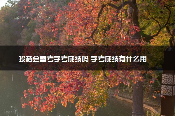 投档会参考学考成绩吗 学考成绩有什么用