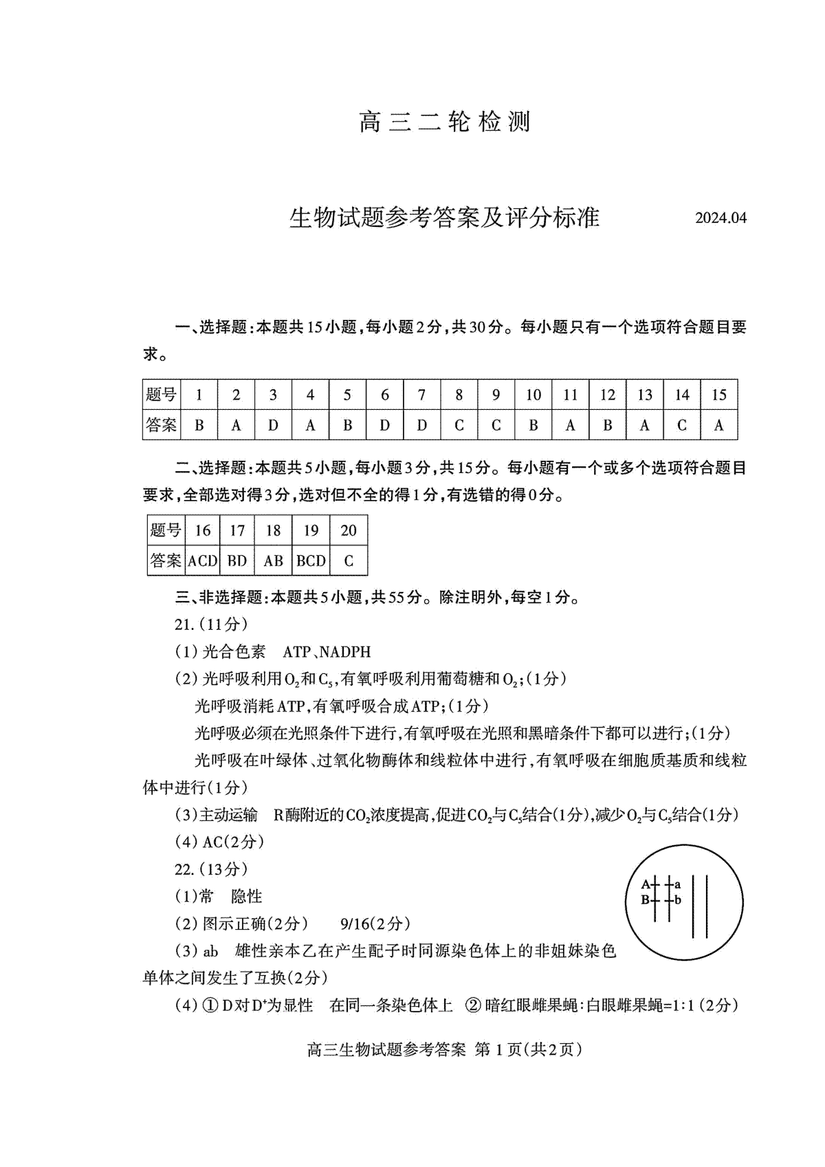 山东省泰安二模2024届高三二模生物答案