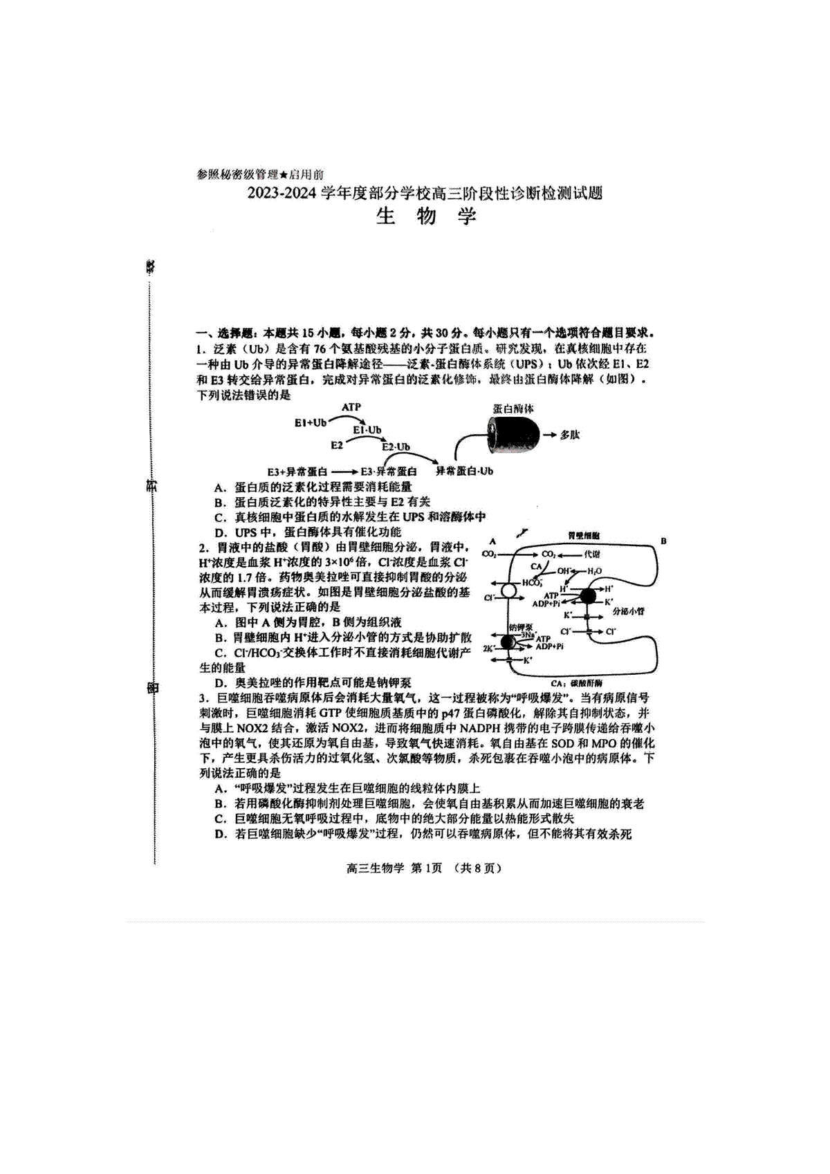 山东省淄博市2023-2024学年高三下学期阶段性诊断（二模）生物