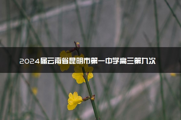 2024届云南省昆明市第一中学高三第九次考前适应性训练语文试卷