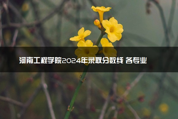 河南工程学院2024年录取分数线 各专业录取最低分及位次