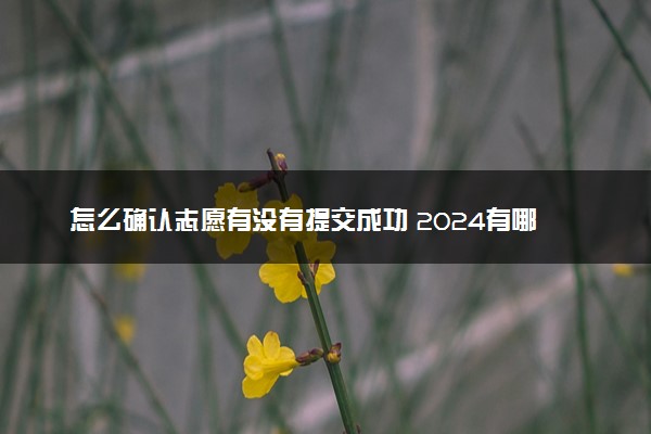 怎么确认志愿有没有提交成功 2024有哪些方法