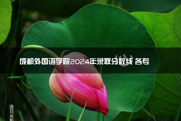 成都外国语学院2024年录取分数线 各专业录取最低分及位次