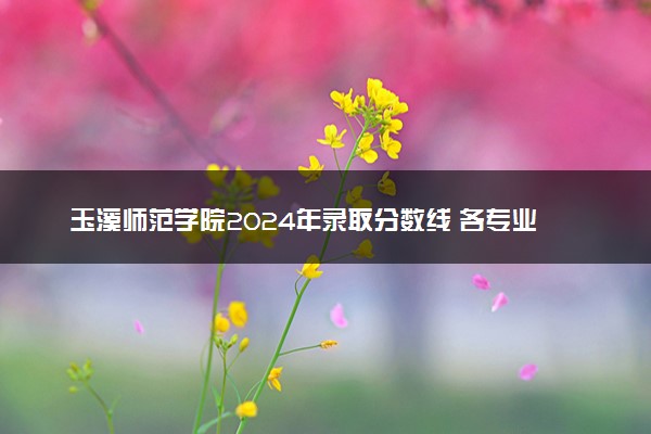 玉溪师范学院2024年录取分数线 各专业录取最低分及位次