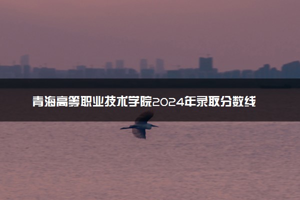 青海高等职业技术学院2024年录取分数线 各专业录取最低分及位次