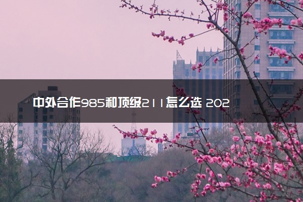 中外合作985和顶级211怎么选 2024怎么报考好