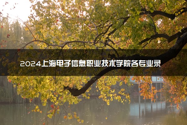 2024上海电子信息职业技术学院各专业录取分数线及位次 各省录取最低分是多少