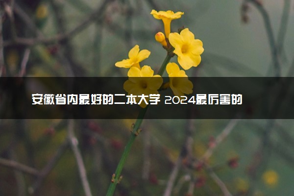 安徽省内最好的二本大学 2024最厉害的大学推荐