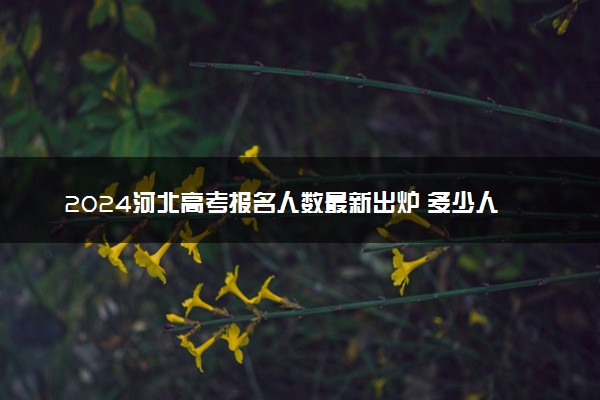 2024河北高考报名人数最新出炉 多少人参加高考