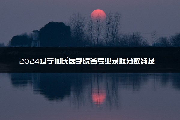 2024辽宁何氏医学院各专业录取分数线及位次 各省录取最低分是多少