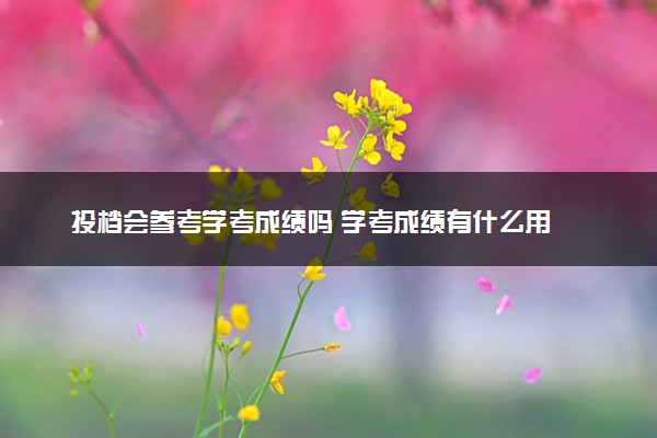 投档会参考学考成绩吗 学考成绩有什么用