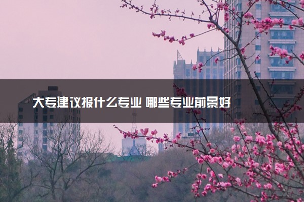 大专建议报什么专业 哪些专业前景好