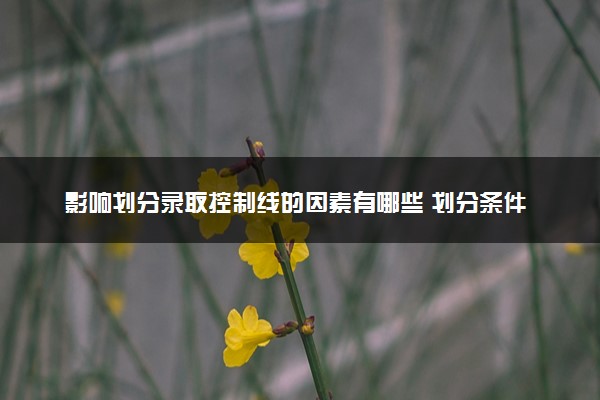 影响划分录取控制线的因素有哪些 划分条件是什么