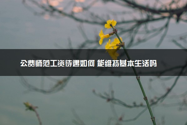 公费师范工资待遇如何 能维持基本生活吗