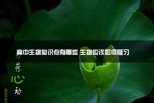 高中生物知识点有哪些 生物应该如何复习