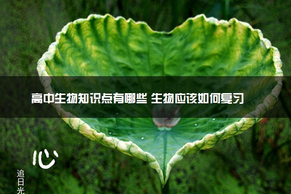 高中生物知识点有哪些 生物应该如何复习