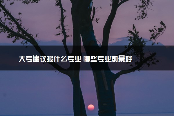 大专建议报什么专业 哪些专业前景好