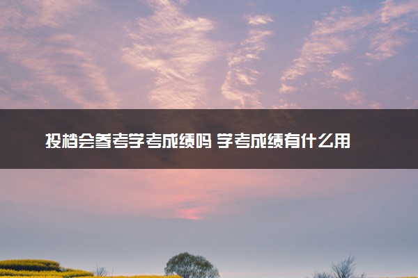 投档会参考学考成绩吗 学考成绩有什么用