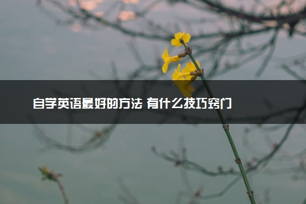 自学英语最好的方法 有什么技巧窍门