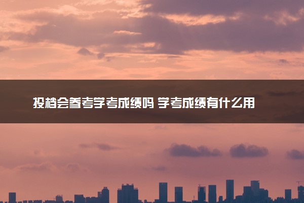 投档会参考学考成绩吗 学考成绩有什么用