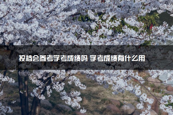 投档会参考学考成绩吗 学考成绩有什么用