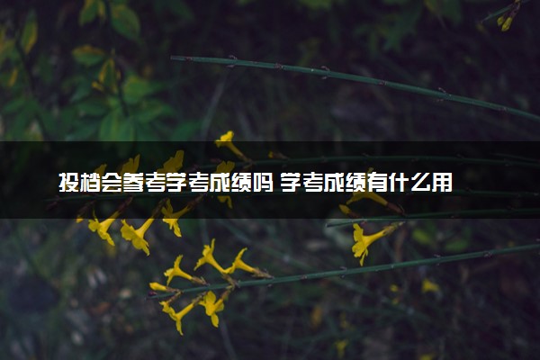 投档会参考学考成绩吗 学考成绩有什么用