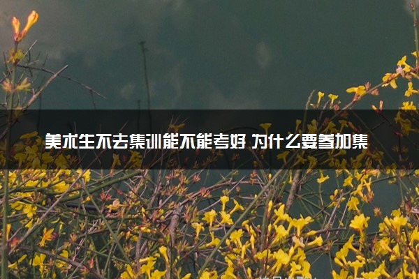 美术生不去集训能不能考好 为什么要参加集训