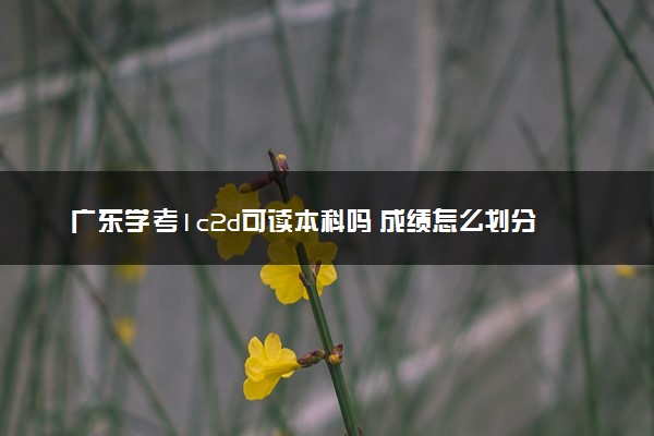 广东学考1c2d可读本科吗 成绩怎么划分