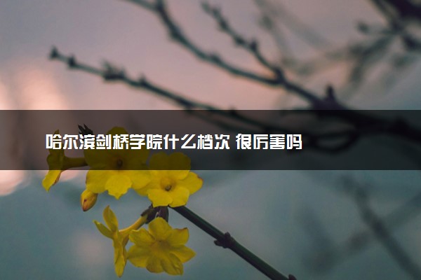 哈尔滨剑桥学院什么档次 很厉害吗