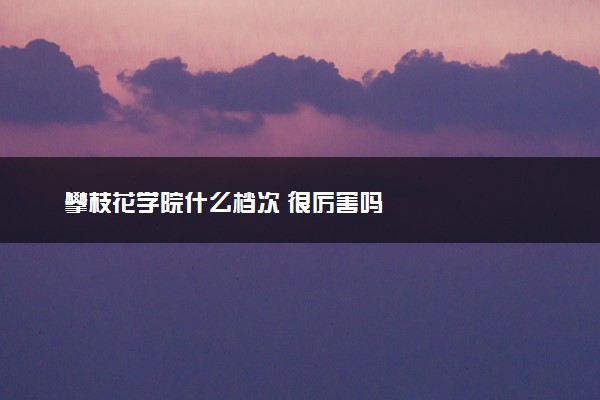 攀枝花学院什么档次 很厉害吗