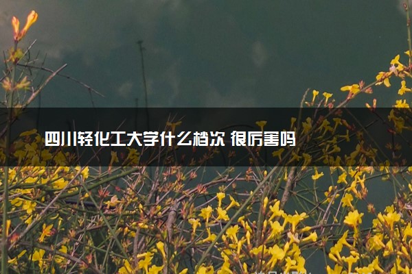 四川轻化工大学什么档次 很厉害吗