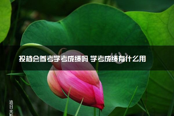 投档会参考学考成绩吗 学考成绩有什么用