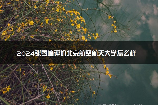 2024张雪峰评价北京航空航天大学怎么样 什么档次多少分能上