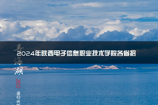 2024年陕西电子信息职业技术学院各省招生计划及招生人数