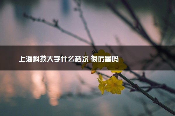 上海科技大学什么档次 很厉害吗