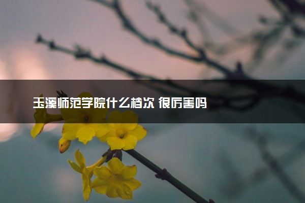 玉溪师范学院什么档次 很厉害吗