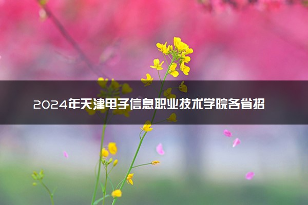 2024年天津电子信息职业技术学院各省招生计划及招生人数